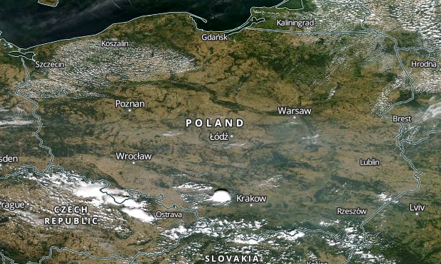 Czy forex jest legalny w polsce